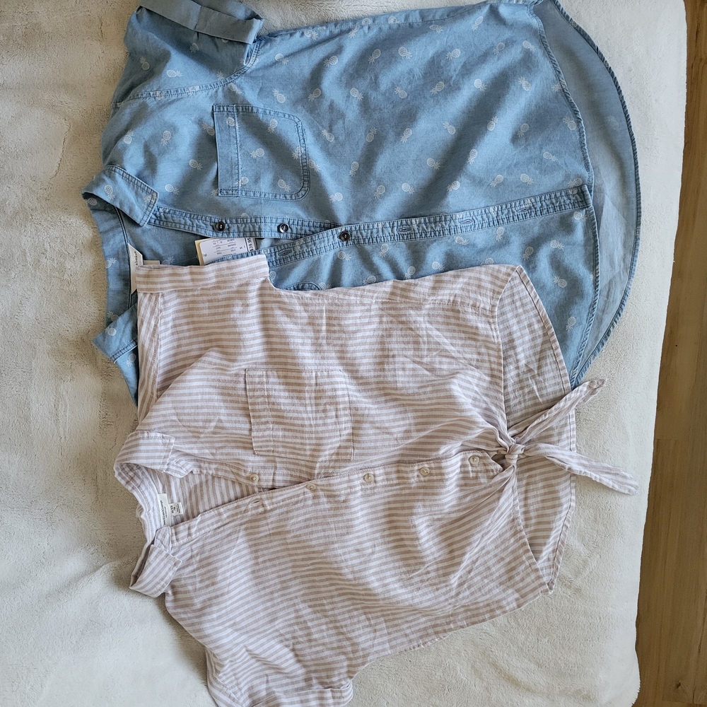 Christopher & Banks Cream and Blue Blouse